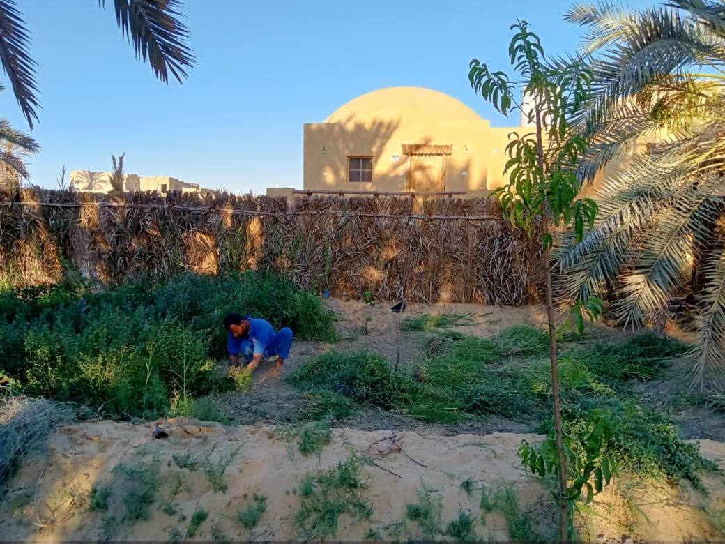 הוילה Siwa Oasis Wafla מראה חיצוני תמונה