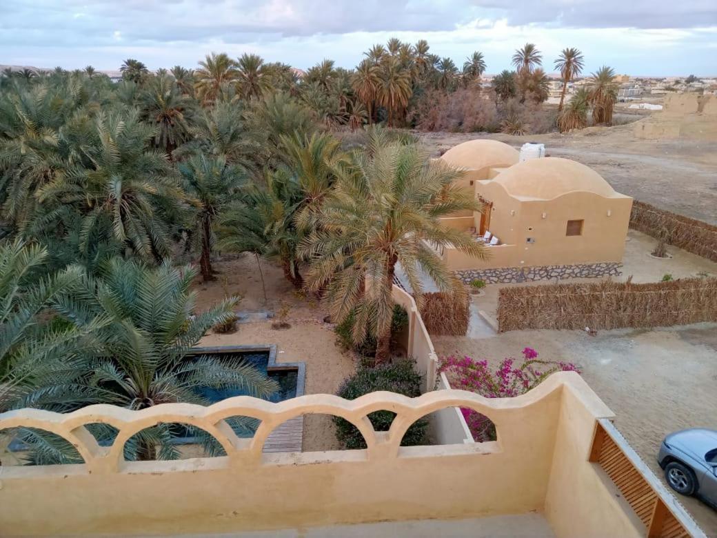 הוילה Siwa Oasis Wafla מראה חיצוני תמונה