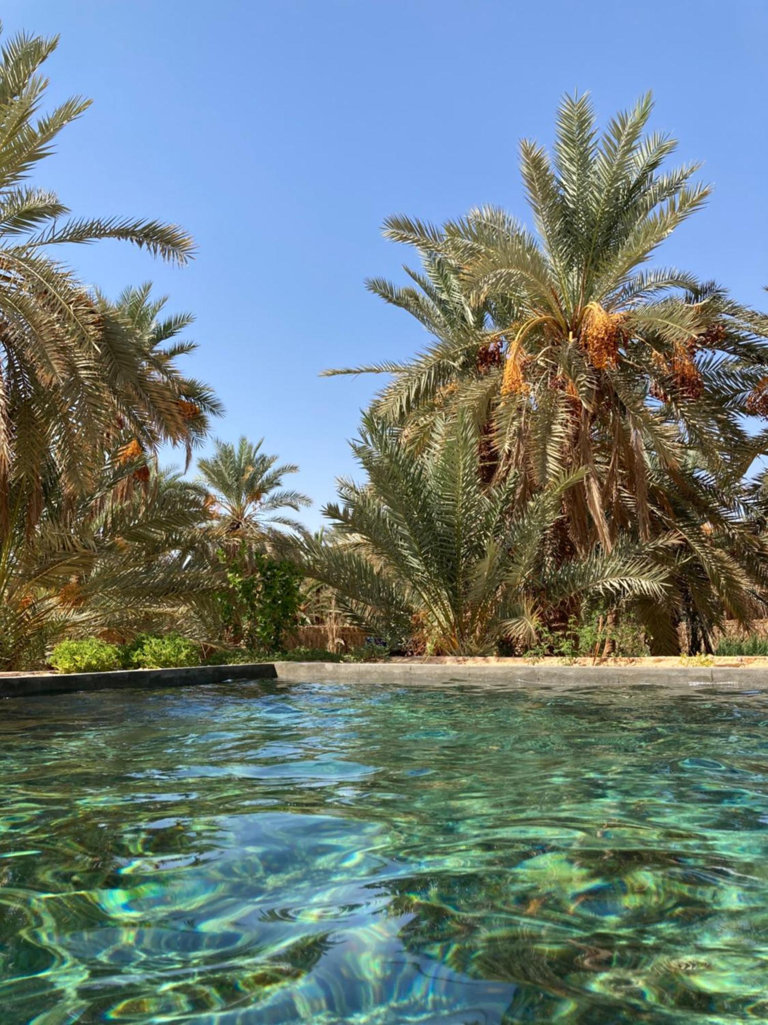 הוילה Siwa Oasis Wafla מראה חיצוני תמונה
