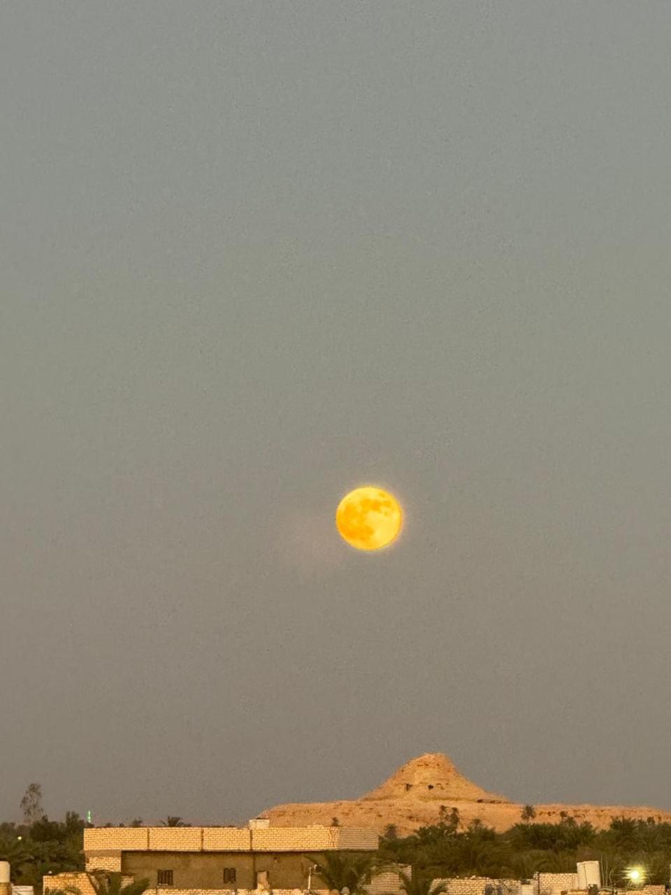 הוילה Siwa Oasis Wafla מראה חיצוני תמונה
