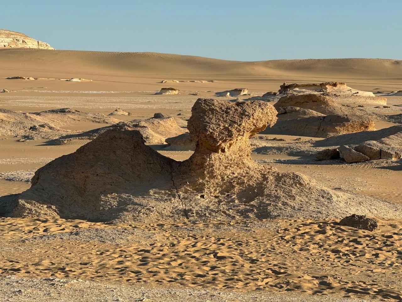 הוילה Siwa Oasis Wafla מראה חיצוני תמונה